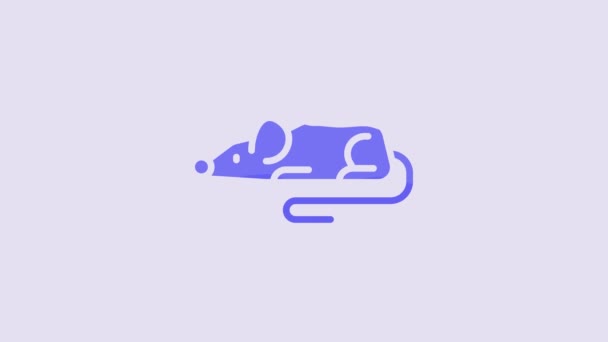 Иконка Голубой Мыши Выделена Фиолетовом Фоне Видеографическая Анимация — стоковое видео