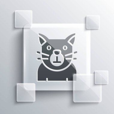 Grey Cat icon isolated on grey background. Animal symbol. Happy Halloween party. Square glass panels. Vector.
