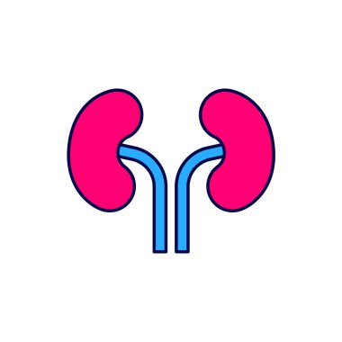 Beyaz arka planda izole edilmiş ana hatlı insan böbreği ikonu. Vektör.