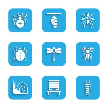 Set Dragonfly, Hive for bees, Centipede, Beetle deer, Snail, Mite, Mosquito and Spider icon. Vector