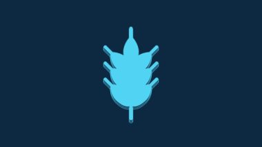 Blue Hop icon isolated on blue background. 4K Video motion graphic animation.