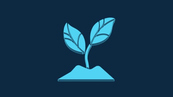 Blue Plant Icon Isolated Blue Background Seed Seedling Leaves Sign — Vídeo de Stock