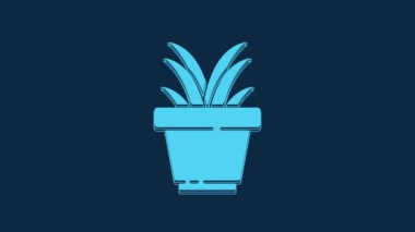 Blue Plant in pot icon isolated on blue background. Plant growing in a pot. Potted plant sign. 4K Video motion graphic animation.