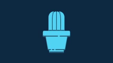 Blue Cactus and succulent in pot icon isolated on blue background. Plant growing in a pot. Potted plant sign. 4K Video motion graphic animation.