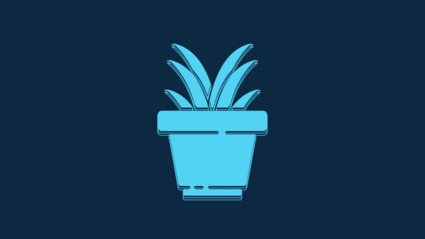 Blue Plant Pot Icon Isolated Blue Background Plant Growing Pot — Wideo stockowe