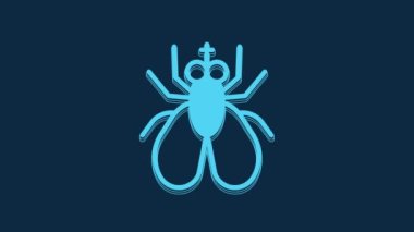 Mavi Böcek sineği ikonu mavi arkaplanda izole edildi. 4K Video hareketli grafik canlandırması.