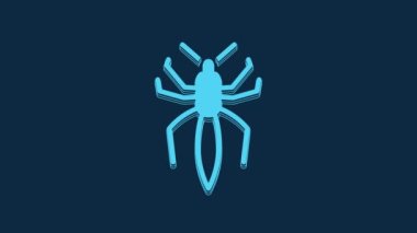 Blue Spider icon isolated on blue background. Happy Halloween party. 4K Video motion graphic animation.