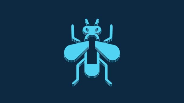 蓝色昆虫在蓝色背景上孤立的苍蝇图标 4K视频运动图形动画 — 图库视频影像