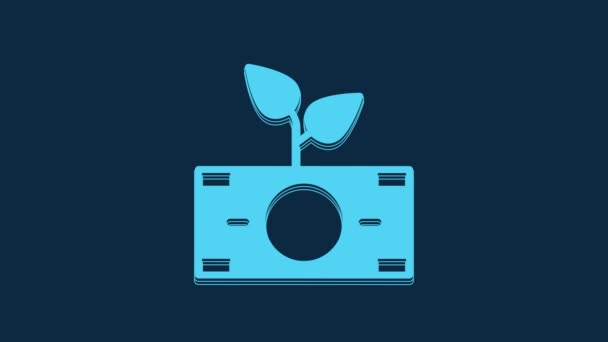 Blue Money Växt Potten Ikonen Isolerad Blå Bakgrund Tillväxtkoncept För — Stockvideo
