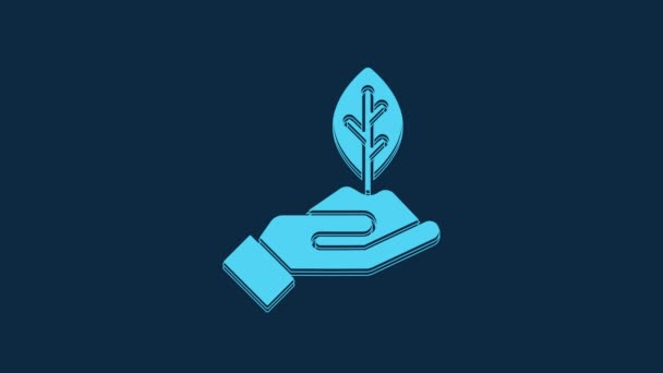 Blue Plant Hand Environmental Protection Icon Isolated Blue Background Seed — 图库视频影像