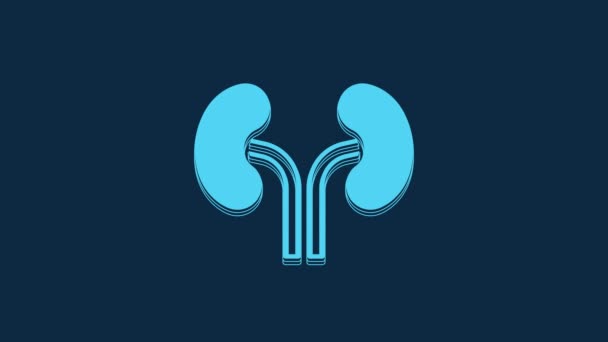 Blue Human Kidneys Icon Isolated Blue Background Video Motion Graphic — Αρχείο Βίντεο