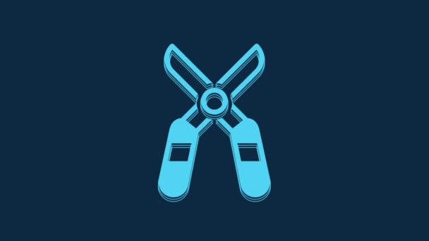 Blue Gardening Handmade Scissors Trimming Icon Isolated Blue Background Pruning — Vídeos de Stock