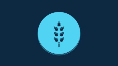 Blue Cereals set with rice, wheat, corn, oats, rye, barley icon isolated on blue background. Ears of wheat bread symbols. 4K Video motion graphic animation.