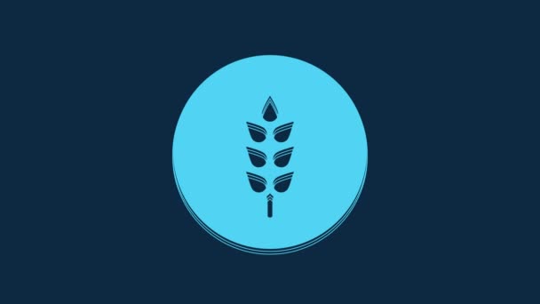 Blue Cereals Set Rice Wheat Corn Oats Rye Barley Icon — Vídeo de Stock