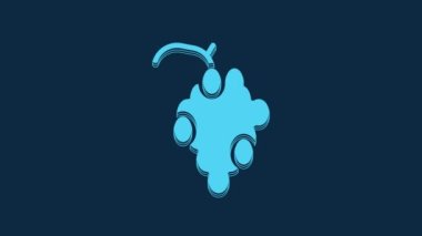 Blue Grape fruit icon isolated on blue background. 4K Video motion graphic animation.