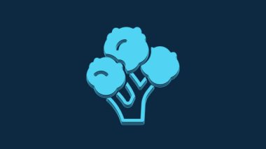 Blue Broccoli icon isolated on blue background. 4K Video motion graphic animation.