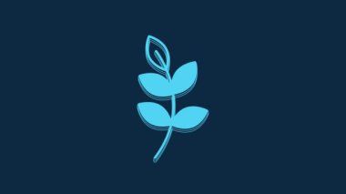 Blue Willow leaf icon isolated on blue background. 4K Video motion graphic animation.
