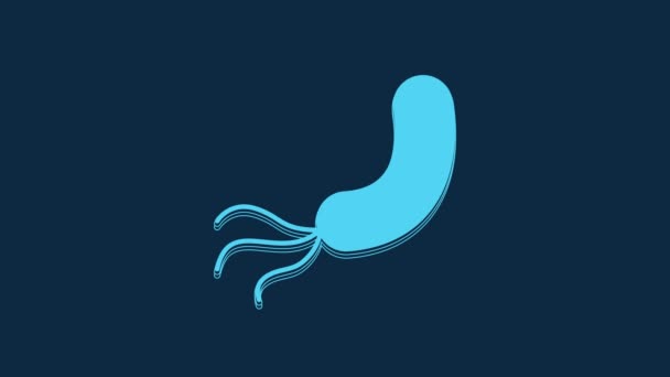 蓝色细菌图标在蓝色背景上被分离出来 细菌和细菌 导致微生物疾病 细胞癌 微生物 4K视频运动图形动画 — 图库视频影像