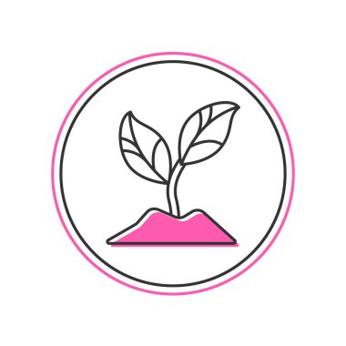 Doldurulmuş bitki simgesi beyaz arkaplanda izole edildi. Tohum ve tohum. İşaret bırakıyor. Yaprak doğası. Vektör