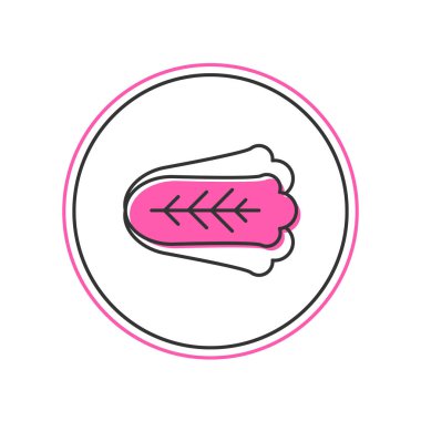 Filled outline Fresh cabbage vegetable icon isolated on white background.  Vector