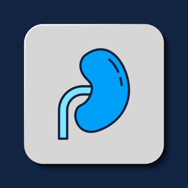 Mavi arka planda izole edilmiş ana hatlı insan böbreği ikonu. Vektör