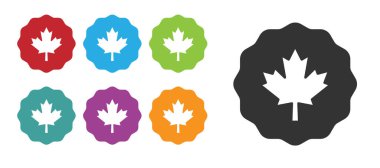 Beyaz arka planda siyah Kanada akçaağaç yaprağı ikonu izole edildi. Kanada sembolü akçaağaç yaprağı. Simgeleri renklendirin. Vektör