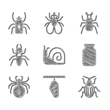 Salyangoz, Kelebek Kozası, Chafer Böceği, Cam Kavanoz, Örümcek, Karınca, Böcek Böceği ve ikonu hazırla. Vektör