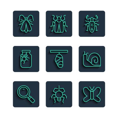 Çizgi büyüteç, Örümcek, Kelebek, Böcek geyiği, Koza, kavanoz, Giysi Güvesi ve Salyangoz ikonu. Vektör