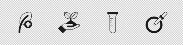 Встановити Листок Або Листя Рослина Руці Випробувальна Трубка Колба Посуд — стоковий вектор