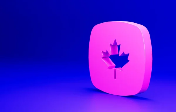 青い背景にピンクのカナダのカエデの葉のアイコンが隔離されています カナダのシンボルカエデの葉 最小限の概念 3Dレンダリング図 — ストック写真