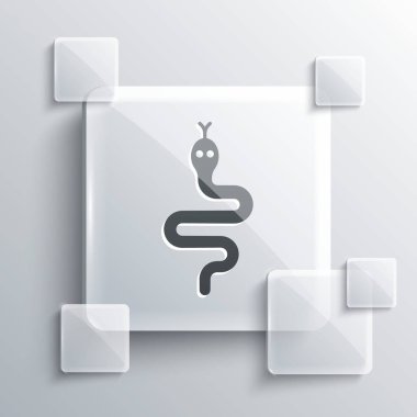 Gri arkaplanda Gri Yılan simgesi izole edildi. Kare cam paneller. Vektör