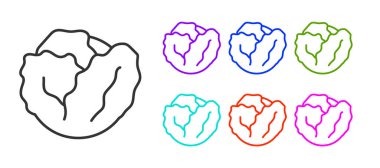 Siyah çizgi taze lahana sebze ikonu beyaz arka planda izole edilmiş. Simgeleri renklendirin. Vektör