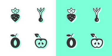 Elmalı Şalgam Erik meyvesi ve Soğan ikonu koy. Vektör.