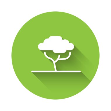 Beyaz Afrika ağaç simgesi uzun gölge arkaplan izole. Baobab, akasya ve diğerleri. Yeşil daire düğmesi. Vektör