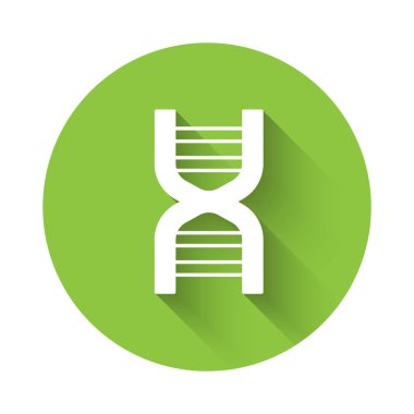 Beyaz DNA sembolü uzun gölge arkaplanı ile izole edilmiş. Yeşil daire düğmesi. Vektör