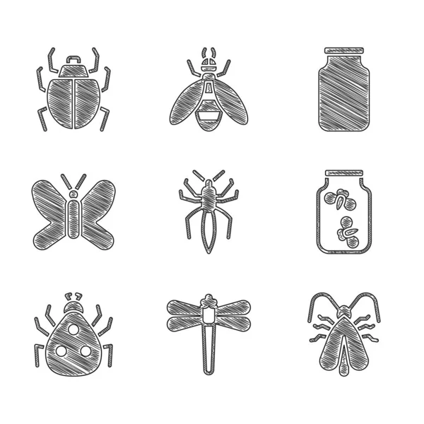 采购产品设置蜘蛛 衣服蛾 萤火虫虫在罐子 玻璃和螨图标 — 图库矢量图片