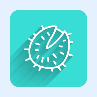 Beyaz çizgi Kestane simgesi uzun gölgeli izole edilmiş. Dikenli ve sert kestane. Yeşil kare düğmesi. Vektör.