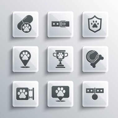 Yer belirleme veterineri, yaka kartı, evcil hayvan oyuncakları lastik ve top, ödül, veteriner kliniği, köpek ilacı ve hayvan sağlığı sigortası ikonu. Vektör