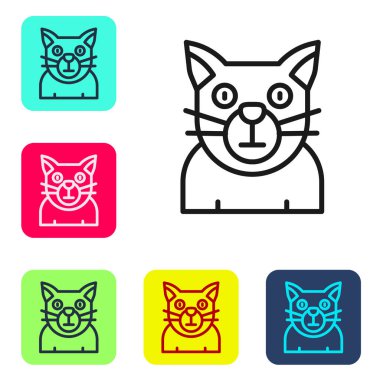 Siyah çizgi kedi simgesi beyaz arkaplanda izole edildi. Hayvan sembolü. Mutlu Cadılar Bayramı Partisi. Renkli kare düğmelerle simgeleri ayarla. Vektör.