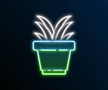Parlayan neon hattı. Esrar ikonundaki bitki siyah arkaplanda izole edilmiş. Tencerede yetişen bir bitki. Saksı bitkisi işareti. Renkli taslak konsepti. Vektör