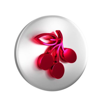 Kırmızı zeytin dalı simgesi şeffaf arkaplanda izole edildi. Gümüş daire düğmesi.