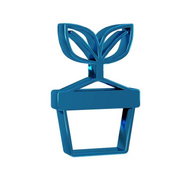 Mavi Bitki, şeffaf arkaplanda tencere simgesinde izole edilmiş. Tencerede yetişen bir bitki. Saksı bitkisi işareti. .