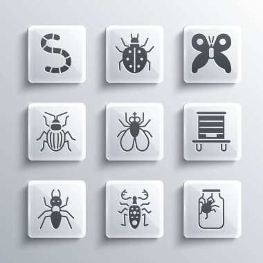 Böcek geyiği, kavanozda örümcek, arılar için kovan, böcek sineği, karınca, böcek, solucan ve kelebek ikonu. Vektör