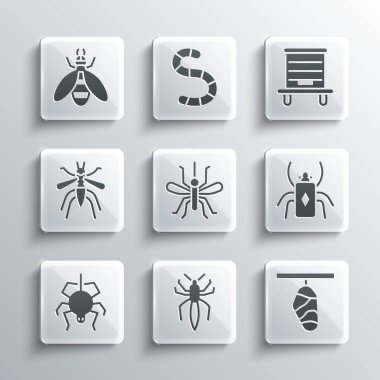 Örümcek, Kelebek, Böcek, Sivrisinek ve Kovan 'ı arı ikonu yapın. Vektör