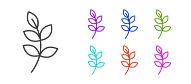 Beyaz arka planda siyah çizgi Willow yaprağı simgesi izole edildi. Simgeleri renklendirin. Vektör