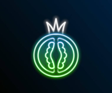 Parlayan neon çizgisi domates simgesi siyah arkaplanda izole edildi. Renkli taslak konsepti. Vektör