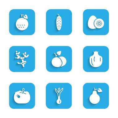 Mango, soğan, armut, nar, balkabağı, zencefil kökü, kivi ve portakal ikonu koyun. Vektör