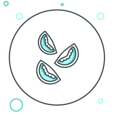 Domates çizgisi simgesi beyaz arkaplanda izole edildi. Renkli taslak konsepti. Vektör