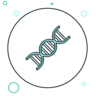 Beyaz arkaplanda izole edilmiş çizgi DNA sembolü. Renkli taslak konsepti. Vektör