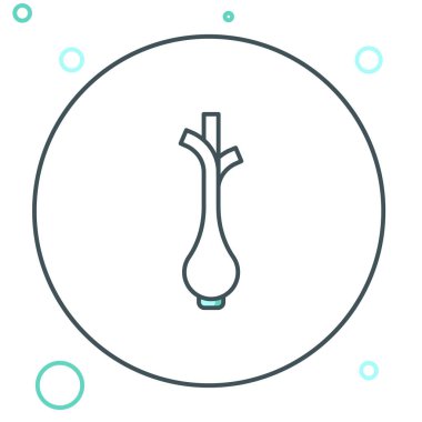 Beyaz arka planda izole edilmiş taze yeşil soğan ikonu çizgisi. Renkli taslak konsepti. Vektör.